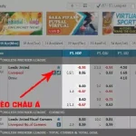 Cá Cược Tại A-Thể Thao W88: